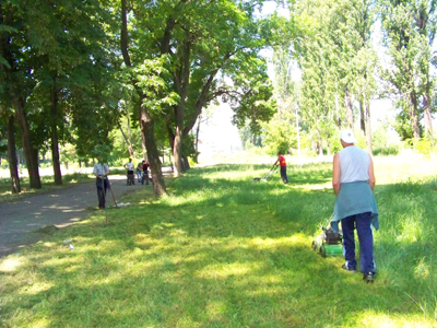 Се средува Стариот парк