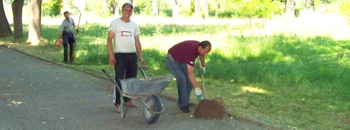 Се средува Стариот парк