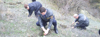 Утре повторно ќе се пошумува