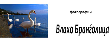 Изложба на Влахо Бранѓолица во Куманово