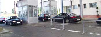 Шверцувале свинска кожа