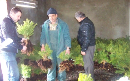 Поделени садници на месните заедници
