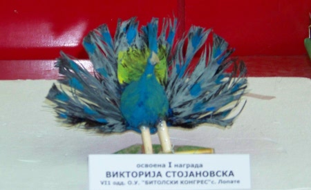 Шарено јајце во Куманово
