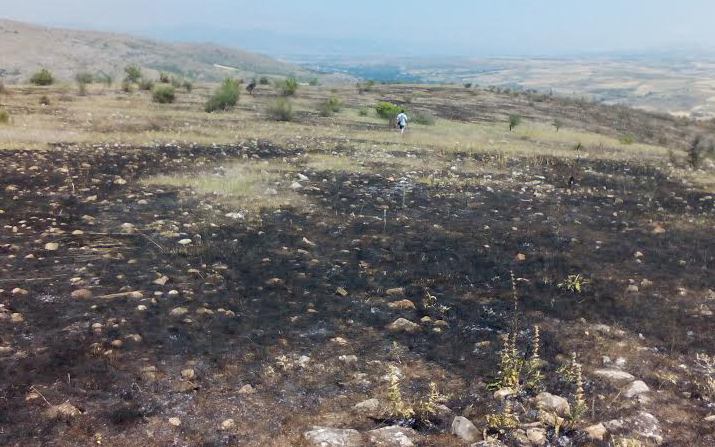 Изгоре букова шума во Ропаљце, изгаснати 7 пожари на отворено