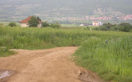 20 години затвор за убиство од користољубие